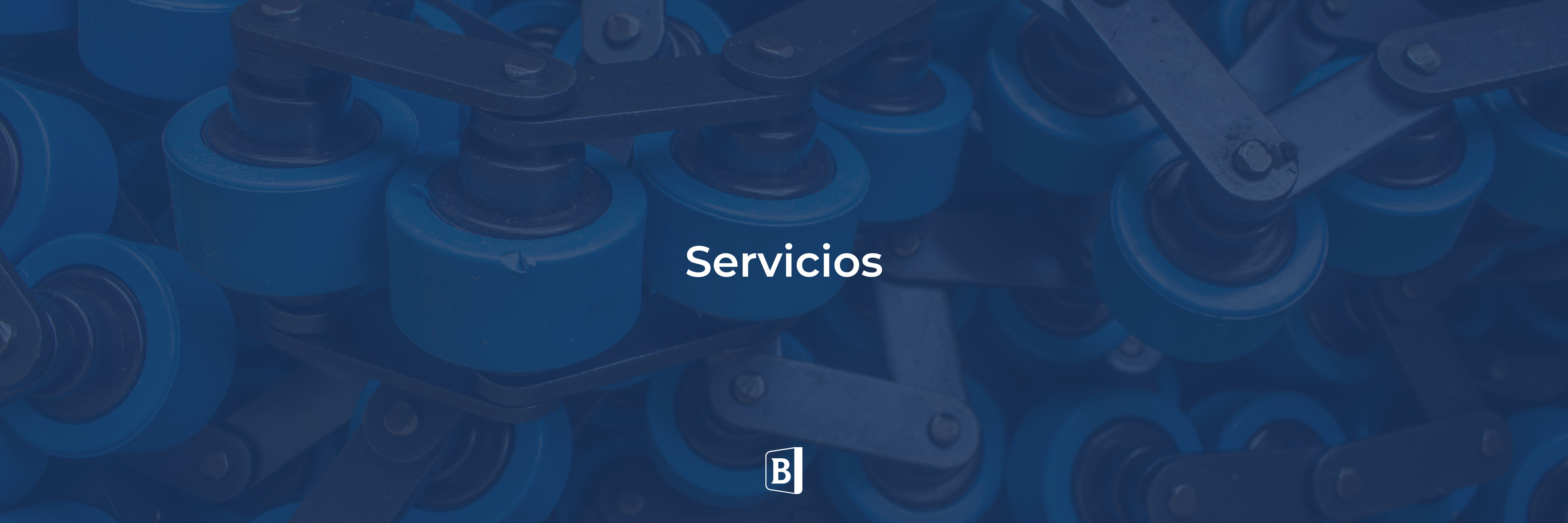 Servicios